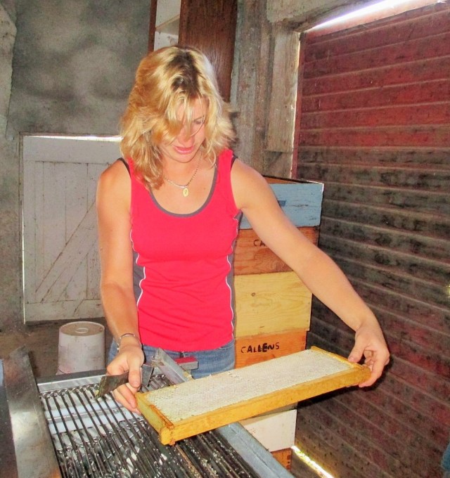 Here Silvana is placing a full frame of honey onto the uncapping machine.