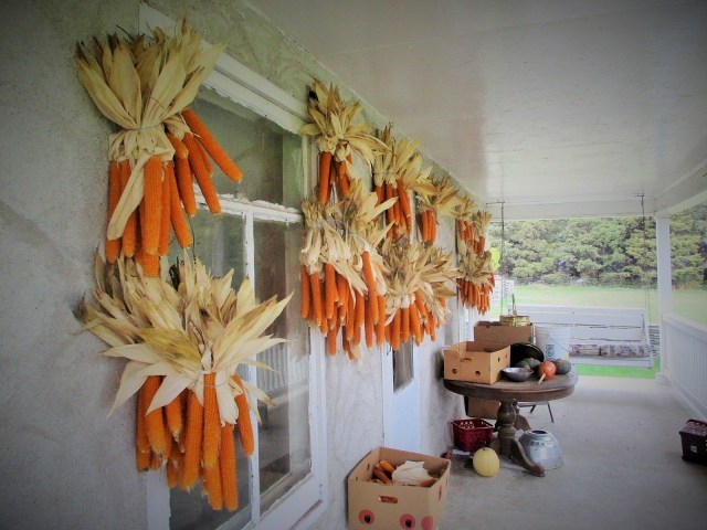 Popcorn graces our front porch. Yummy!!