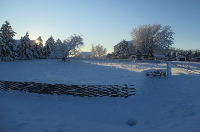 Wishing this snow would last until Christmas.