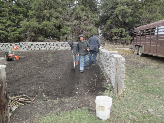 Digging and planting.