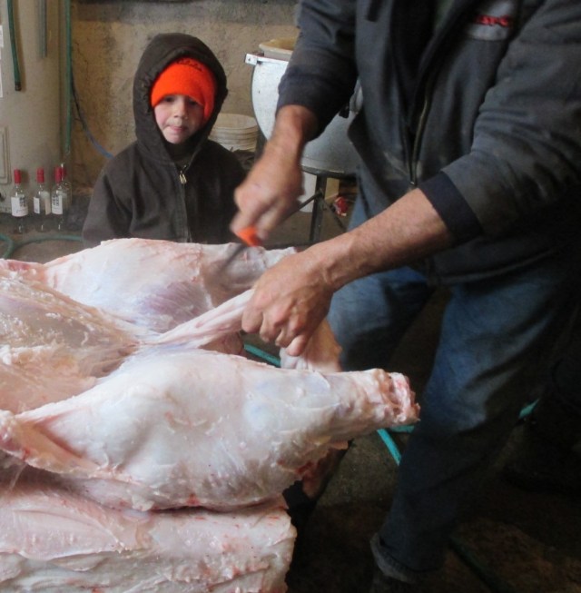 This is how the next generation learns where farm fresh food comes from and how to get it ready to eat!
