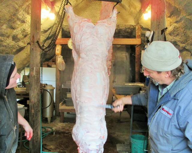 Two hogs are cut and being prepared for Clayton and Angelica's wedding.