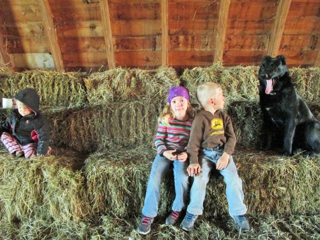 Love this photo of Chief and the grandchildren. They were out stirring up dust while we set up.