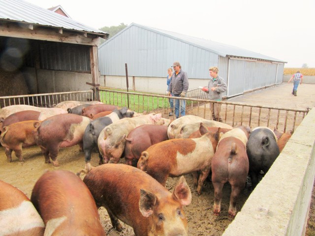 Marking the big ones for shipping.