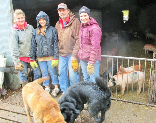 Silvana Bella Dad and Marisa working with the Organic hogs!