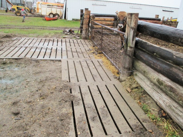 More hog slats and beef! 