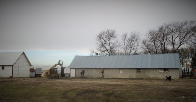 Anyone working up an appetite yet? You see a hog and I see Polish Sausage.