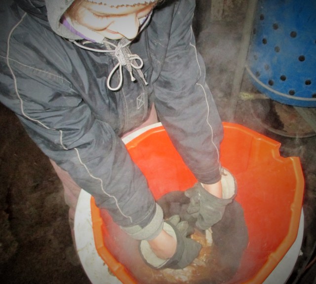 And then there's the chickens! We picked one of the coldest days last week to put the roosters in the freezer! Looking back tonight I realize that was a heat wave!
