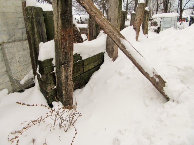 Cold Minnesota makes life interesting.