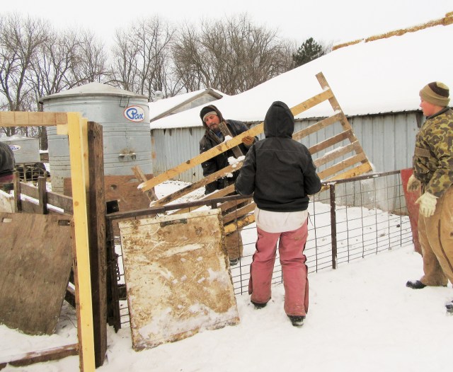 Fred, Bella and Mario getting gates ready.