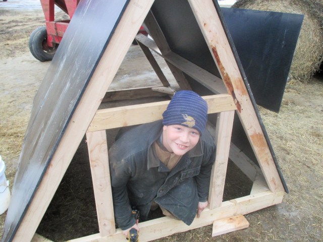 Mario and Fred built 16 A Frame farrowing huts in the cold! Brrrrr
