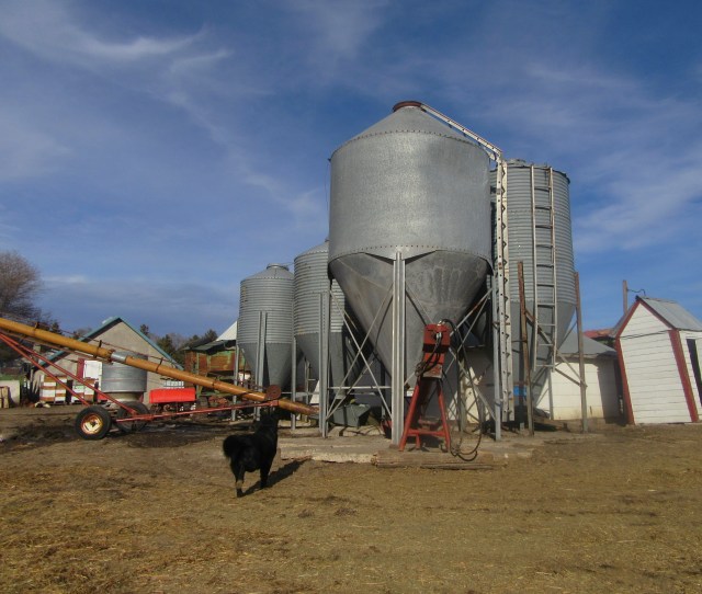 Blue skies over some of our "new" bulk bins. 