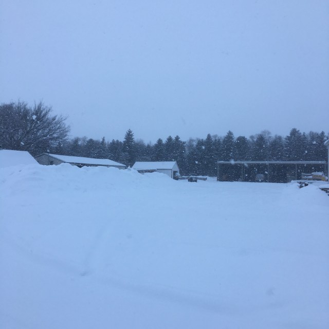 013C2420-80D9-4596-A199-5F4ABB4944CF