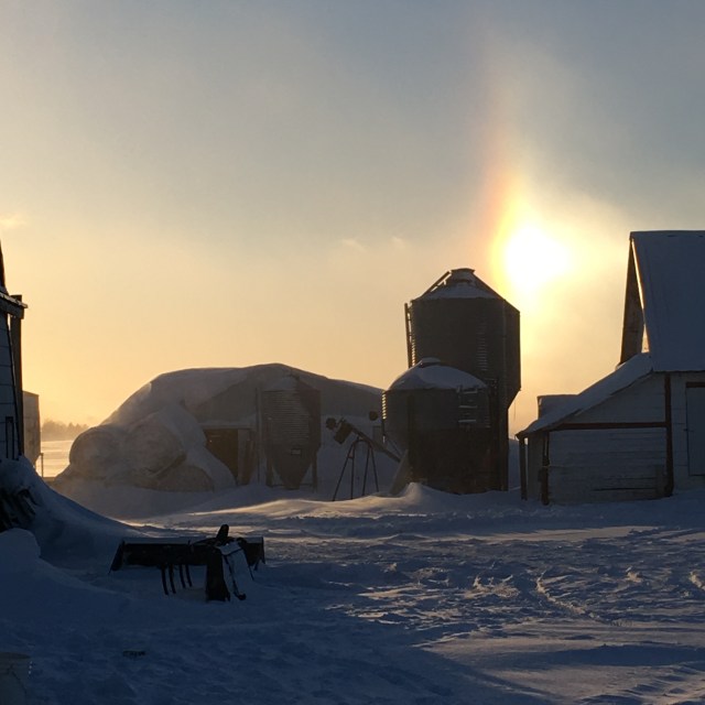 0627E7C3-CB27-4271-8CE0-3E69C6A093CF