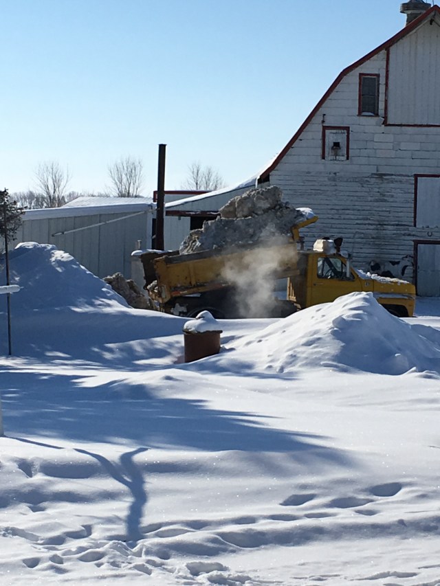 14CAB11E-AF8A-4F5C-A2B4-792EEA843476