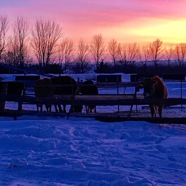 2CA2BBF9-EB12-466F-BF84-591F20FACCB6