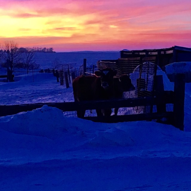 368D4E8D-A97D-41EA-9A96-34FCB898B1BF