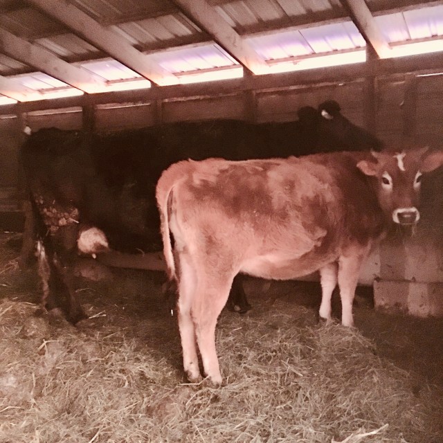 37906573-8115-48B2-B5D8-6456E72871EA