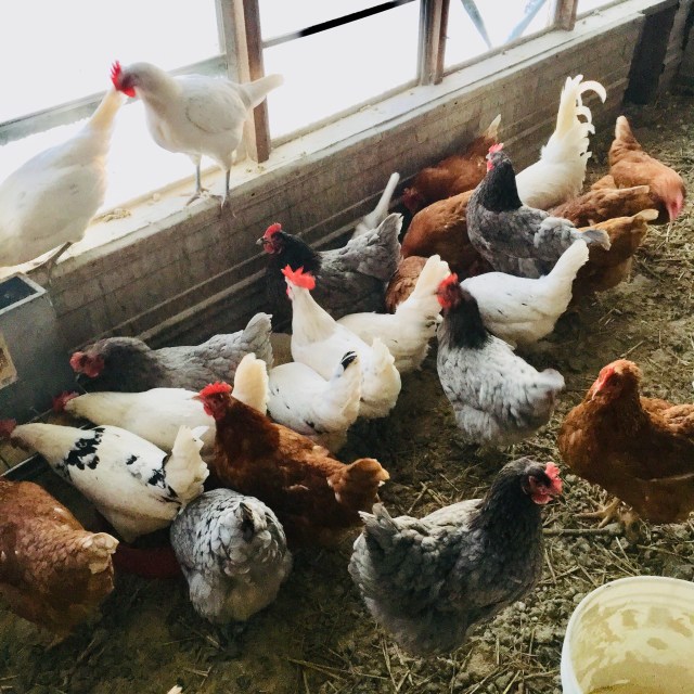 4ABCAD86-B56B-4FD9-A182-EA1775F4259B