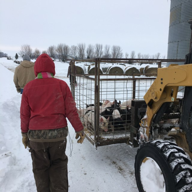 5705955E-5AB1-4589-932B-681D1D729F9C