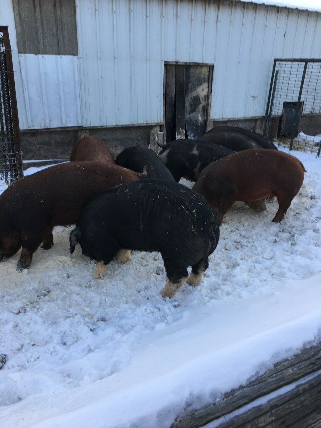 6577E780-899D-47F3-94F0-F0F02868D90E