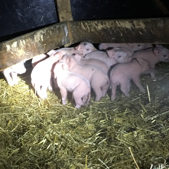 76EC70A0-27EB-4DF1-9FBD-397E8D4E8A7E