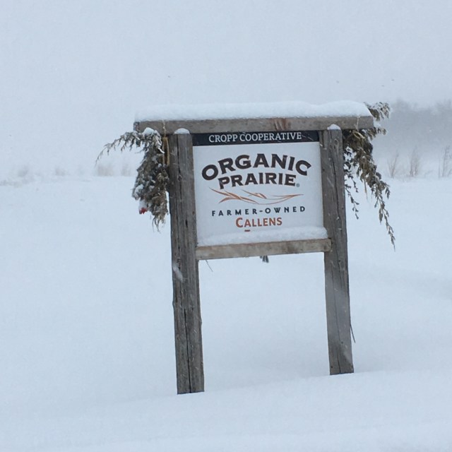 775A6028-4B59-47AA-B43C-49FD90175891