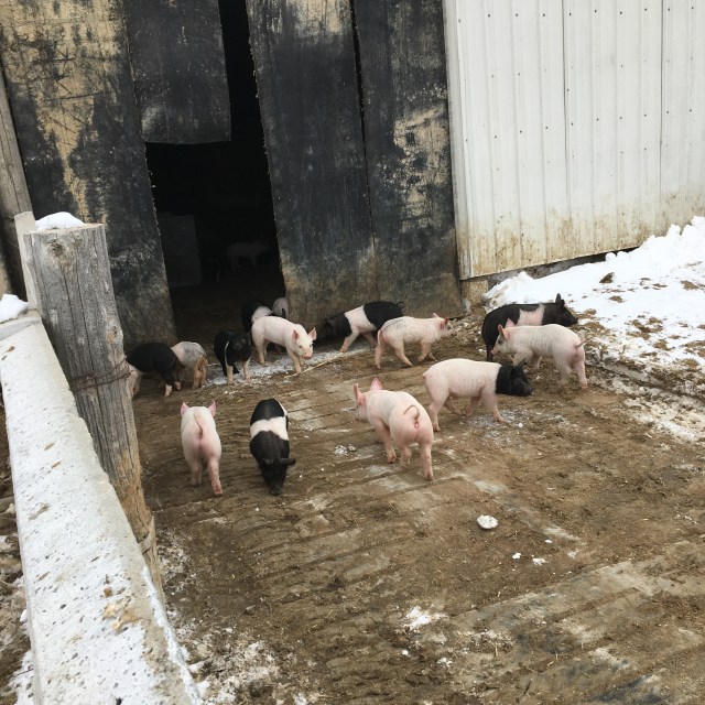 7B820788-5D23-4472-863E-E4B984106742