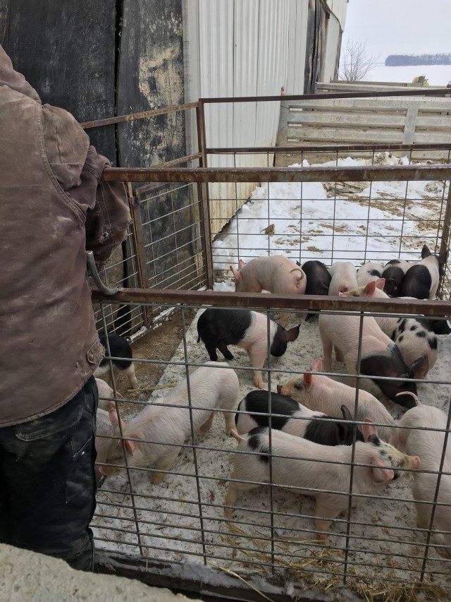 96437DC3-B880-4119-9C46-EE7788B2CE3B