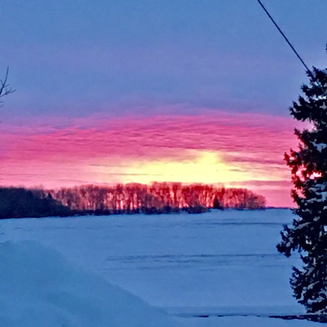 9A0B02FD-1E24-46F9-991D-032912C1B43B