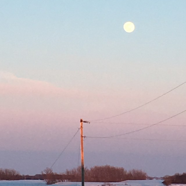 9F9EF7EC-FA9F-41C1-843F-B2DB892088EF