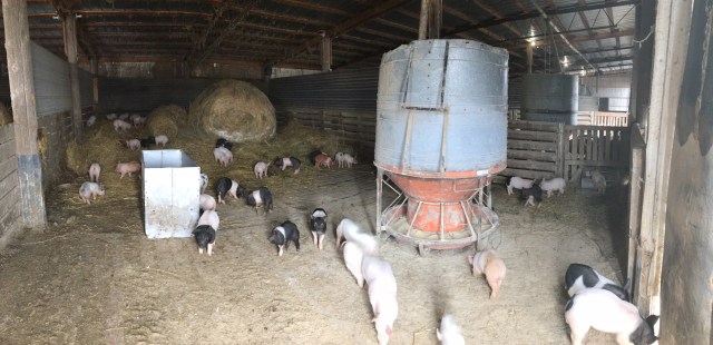 A5F41CD8-C3D2-4ED6-8960-D5736717ED7C