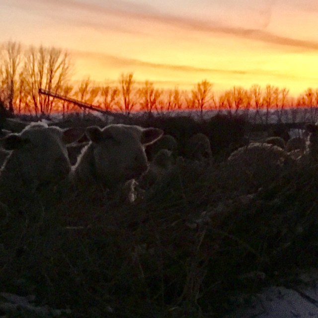 AE885C67-3152-488A-AA39-45251F859FE7