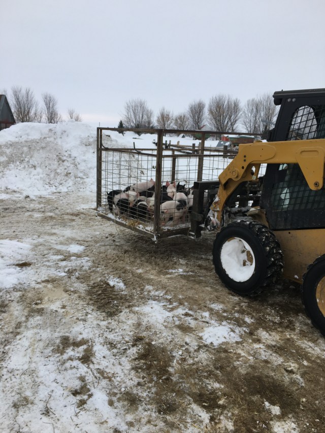 B043D762-4C5D-4553-81C1-5B9086329533