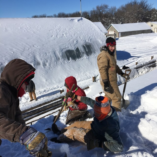 B7A0E5CB-267E-48B6-B561-6ABE68A87631