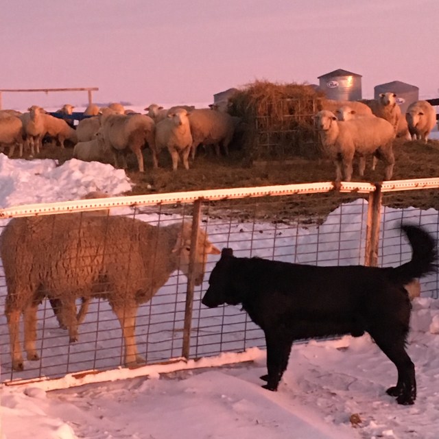 BF5752BE-7073-4BCB-AD58-A5AA65AD984D