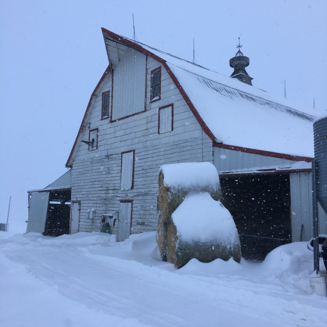 C9A10987-4C2C-419D-A526-A6784BC90B48