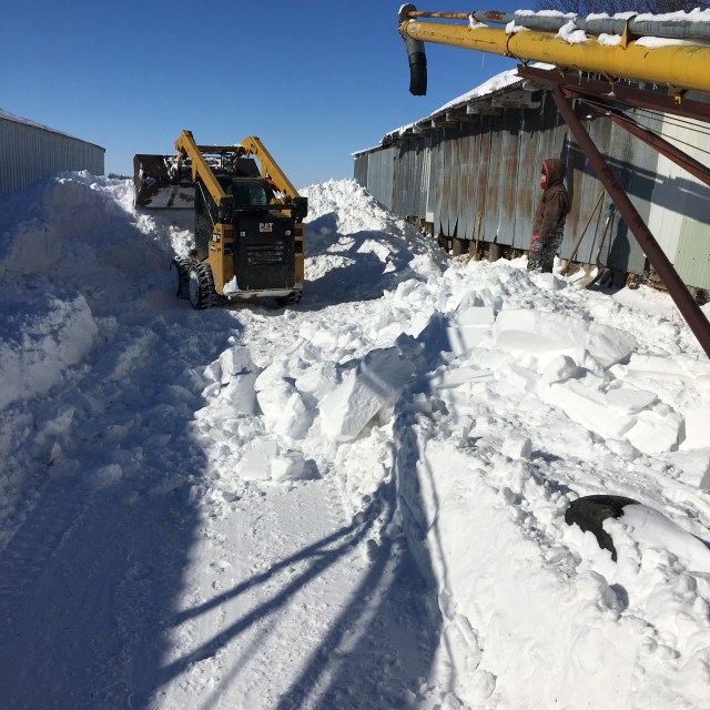 CBB3F225-4E3D-4855-A395-33646EF0F841