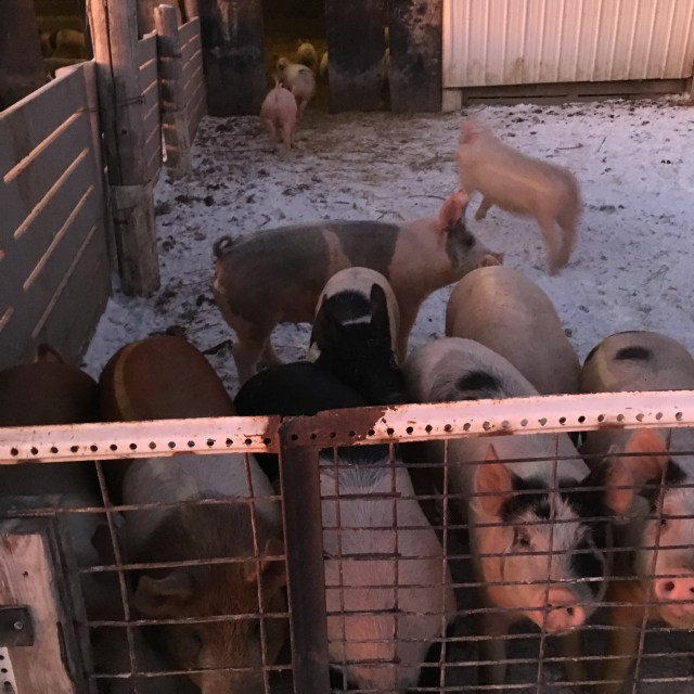 E0315AD2-3D2D-45C5-9F62-6BD6BB104D7C