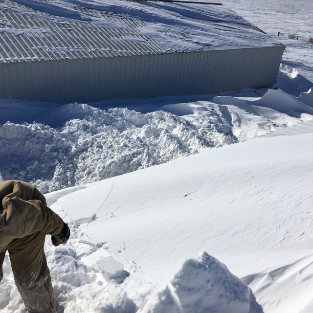 F59D4427-CFC9-4B30-8B0A-CC76E3903742