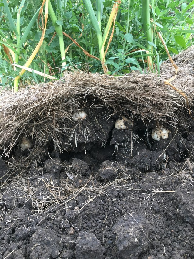 27661DE3-1CE3-4C4E-88D8-D495FEA953E8