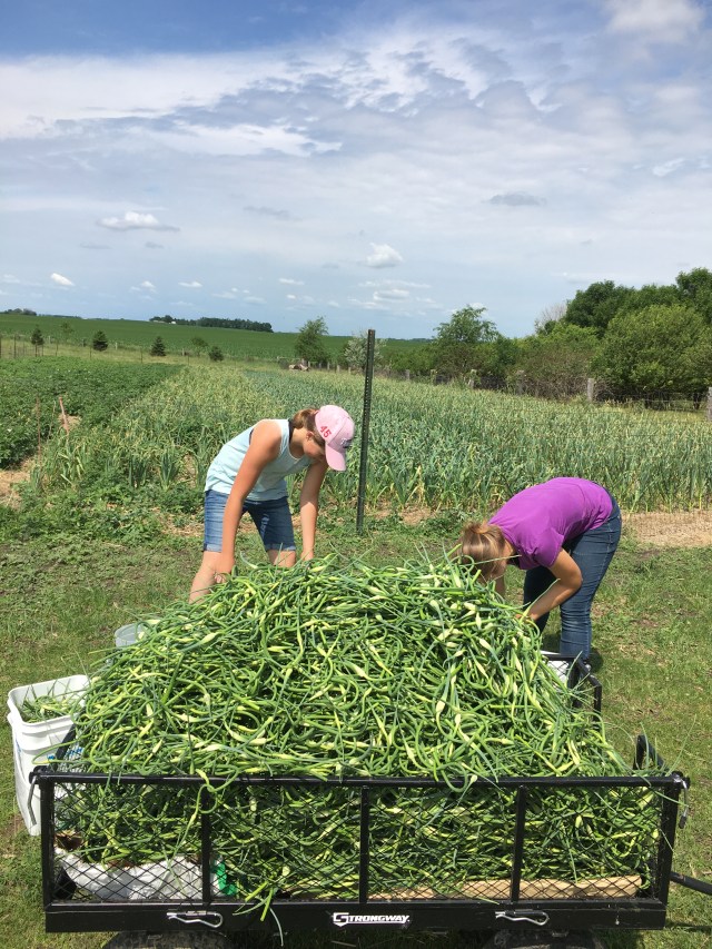 4EA36FBA-A23A-47CB-85BF-44F3668BE881