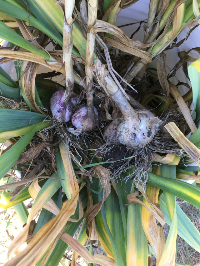 7178BC12-1D70-40DA-AD24-E3FA461F952E