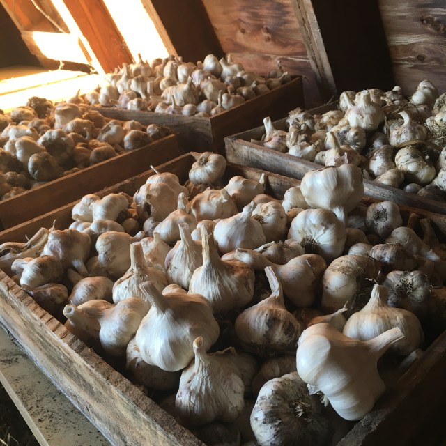 960ECC9D-684E-46D2-AA1C-3E84D56028D6