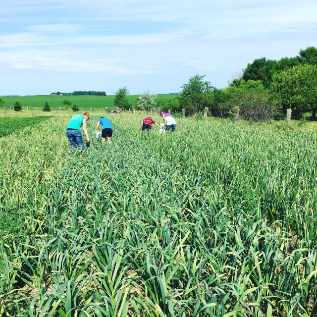 9A4F884D-4FA6-4189-B80B-86AD8CAD79B8