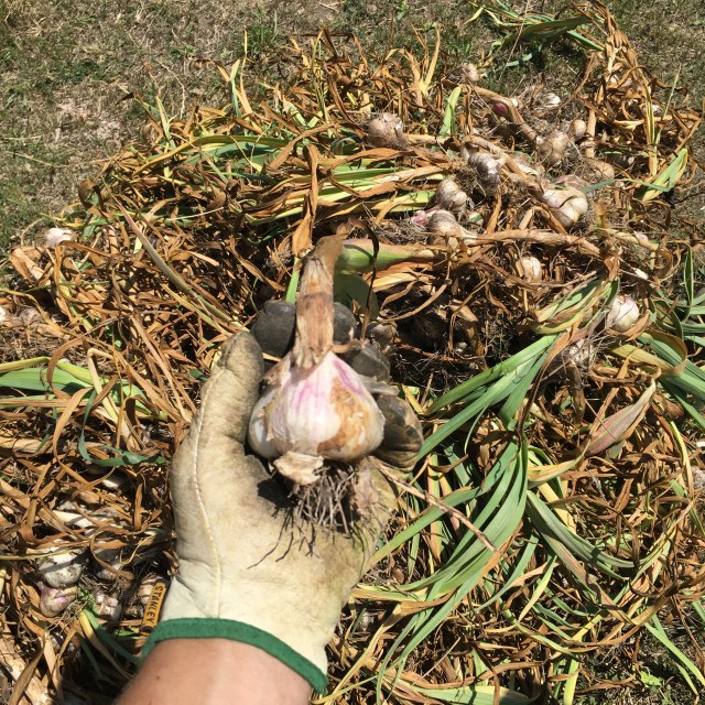 A8CCC3C1-5BC5-49C3-8467-6FAC5421EA93