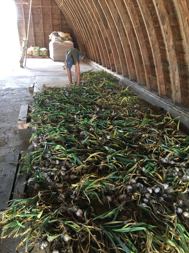 F098B8BB-EB1C-4C91-9781-D034D289431B