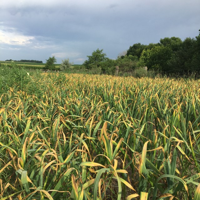 FBE7B05A-60E4-4B87-8445-020D00116497